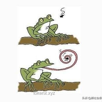 灯诱昆虫多样性及数量影响深度分析